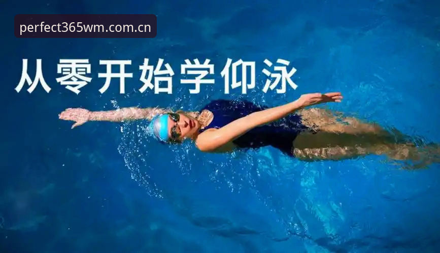 完美体育官方下载怎么下载：从零开始的完整安装教程